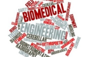 biomedical engineer salary
